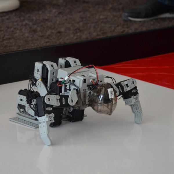 OKSEF 2018 Galeri-17