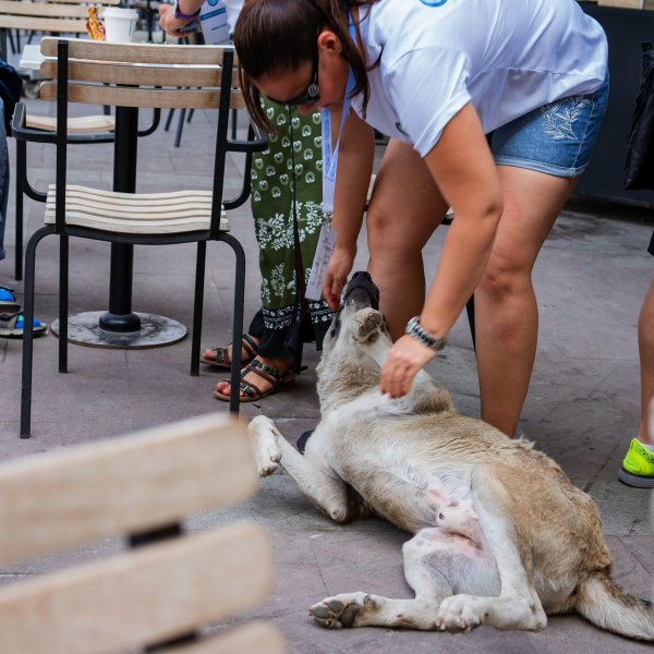 OKSEF 2019 Gallery-328